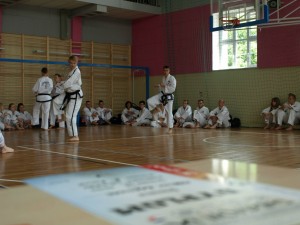 11224394_696520613787030_3025688929888451610_o